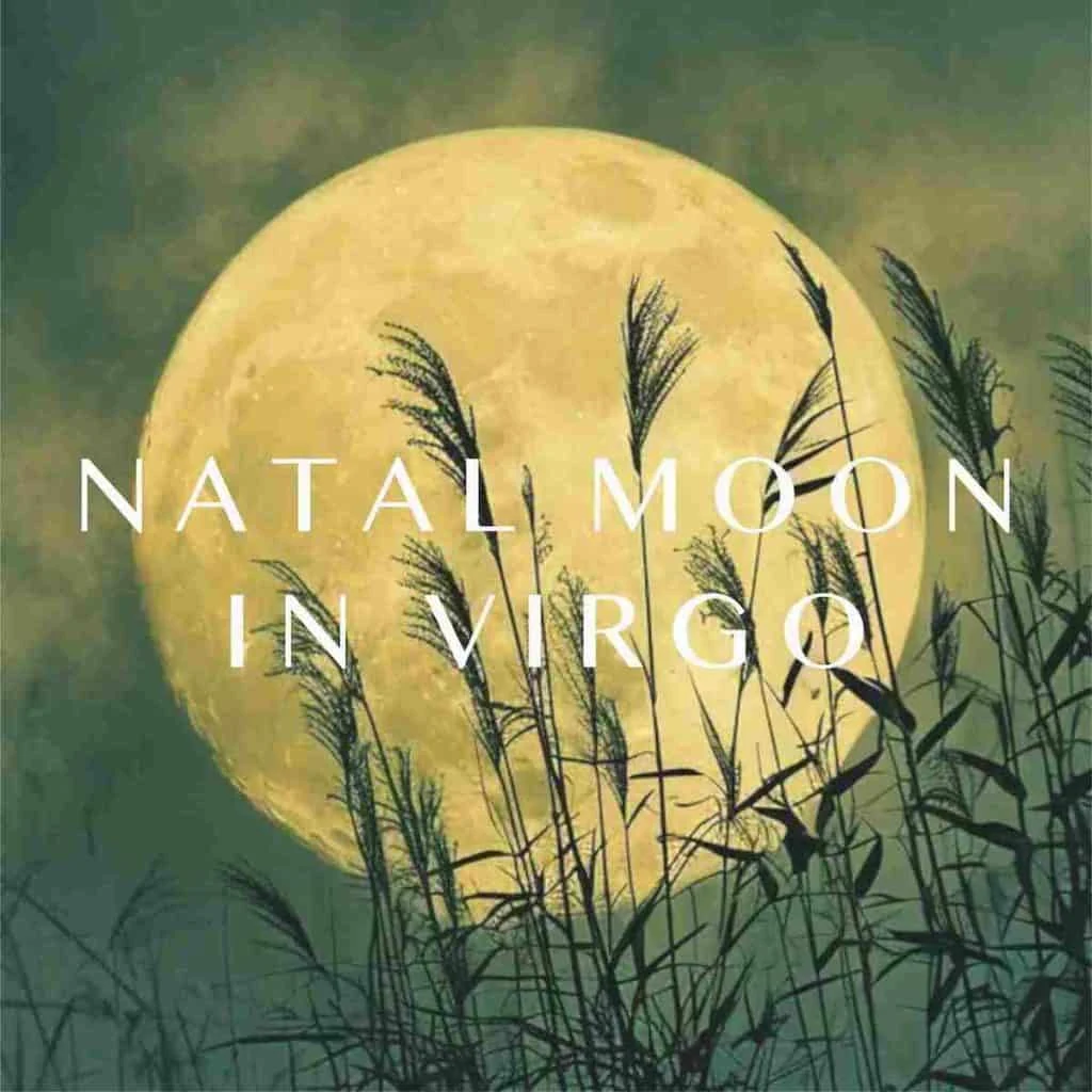 Virgo Moon in the natal chart